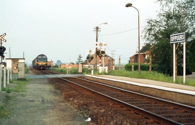 Oppuurs - TH 80-4422.jpg
